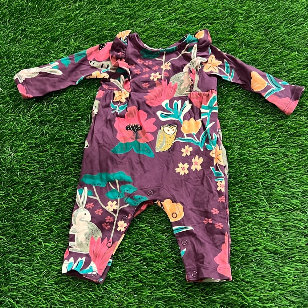 Tea Collection One Piece Infant Outfit